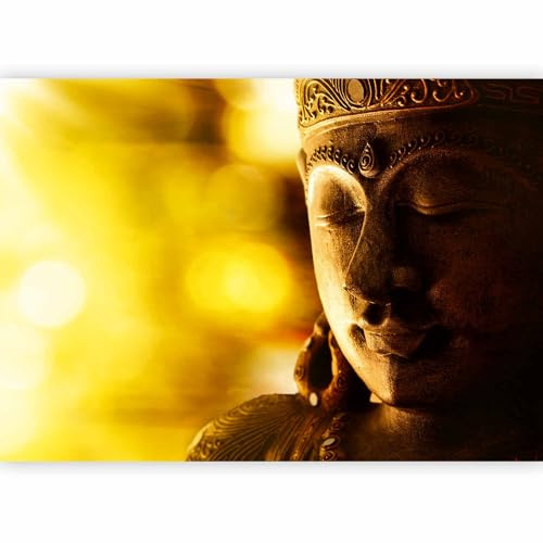 murando Fotomurales 400x280 cm XXL Papel pintado tejido no tejido Decoración de Pared decorativos Murales moderna Diseno Fotográfico Buda h-a-0051-a-d