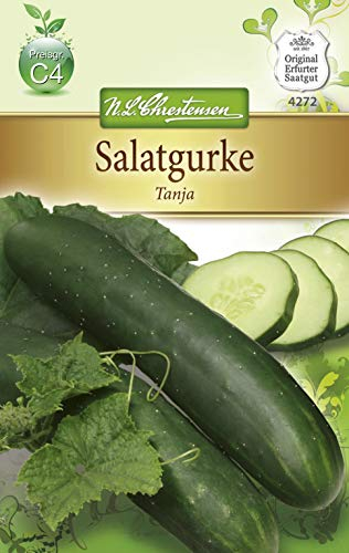 N.L. Chrestensen 4272 Concombre à salade en plein air Tanja (graines de concombre)