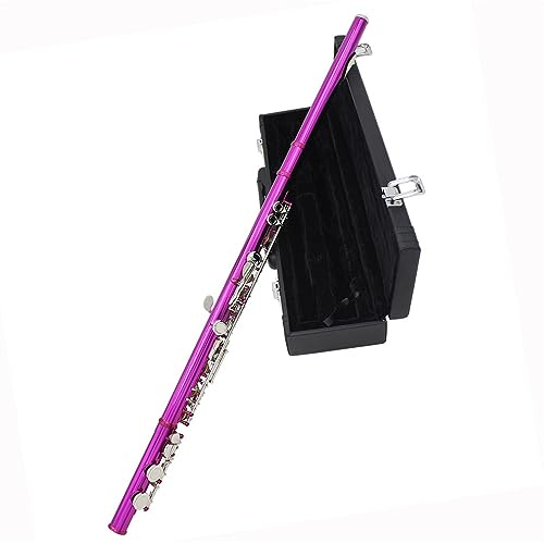 flauta travesera 16 Hoyos C Llave Agujero Cerrado Agujero Abierto Flauta Colorida Rosa Blanca Rosa Flauta instrumento de flauta profesional (Color : Rose pink)