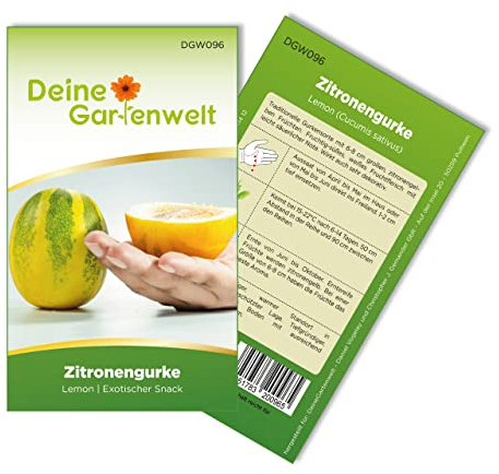 Zitronengurke Lemon Samen - Cucumis sativus - Gurkensamen - Gemüsesamen - Saatgut für 6 Pflanzen
