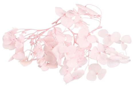 MUCKLILY di Ortensia Essiccati Naturali Colore Rosa Per Decorazioni Feste Bomboniere Art Fiori Secchi Eterni per DIY