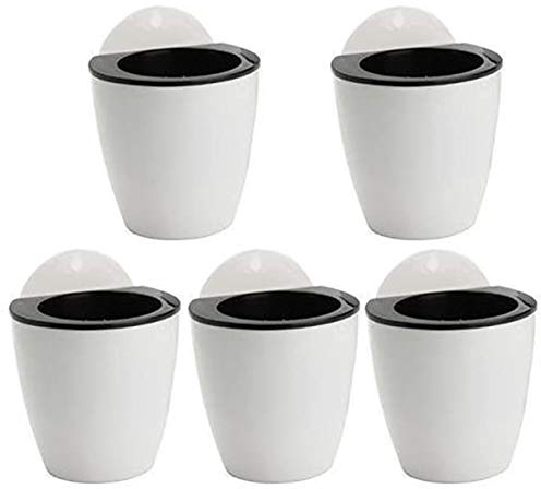 Snner 5pcs Plantes succulentes Fleur de Pot Suspendue en Plastique Mural Paresseux avec 5 Crochets en intérieur Noir Blanc