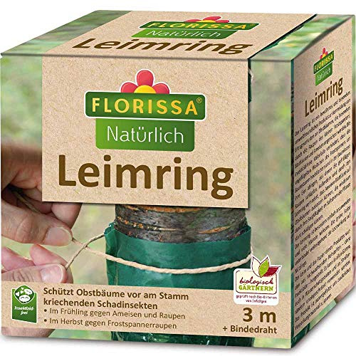 Florissa Leimring | schützt Obstbäume vor am Stamm kriechenden Schadinsekten, wie Frostspannern, Ameisen und Blattläusen | biologisch GÄRTNERN Gütesiegel | 3 m Rolle