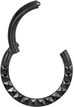 Lantine 16g Septum-Piercing Ring G23 Titan 6mm 8mm 10mm Minimalist Scharnier Segment Clicker Helix Knorpel Daith Rook Conch Piercing Schmuck mit Marken-Samtbeutel
