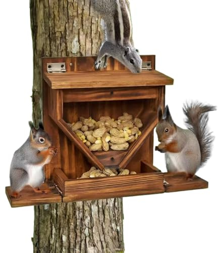 para Ardilla – Madera acrílica Resistente a la Intemperie para jardín Exterior, de Invierno, Caja de alimentación para maíz, Frutos Secos, pequeños Animales Salvajes, construcción