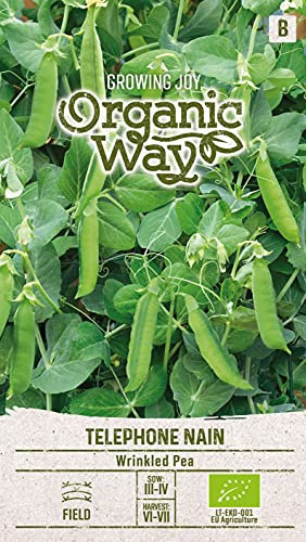 Organic Way | POIS RIDÉ TÉLÉPHONE NAIN des graines | Graines de légumes | 1 Paquet