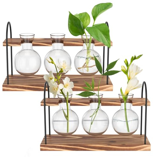 2 Stück Propagation Station Multifunktional Ableger Pflanzen Glas Set mit Pflanzregal Hydrokultur Pflanzen Terrarium Pflanzendekoration für Bewurzeln Schnittblumen Hydrokultur Efeu