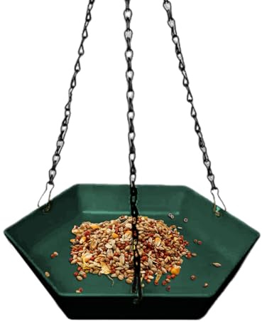 Baño de pájaros para jardín | Distribuidor de Moderno para Exterior | Estanque Suspendente Decoración Jardín para Ventana Balcón Terraza Patio Porche Observación Aves