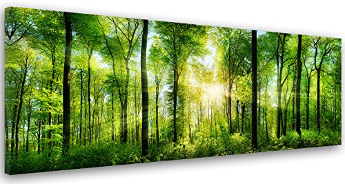 Feeby Bild auf Vlies Leinwand Bäume Natur 150x60 cm Kunstdruck Modern Wandbilder Deko Flur Wohnzimmer Sonnenschein Im Wald Grün
