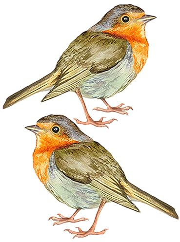 HAICN 2 adesivi da parete a forma di pettirosso, etichette di carta con uccelli carini, adesivi decorativi per interni della casa, per soggiorno, regalo per le vacanze