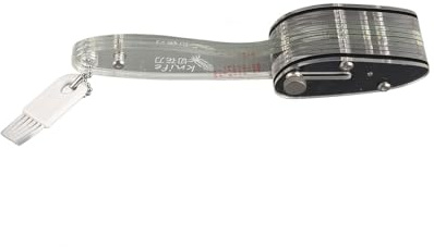 Luqeeg Shred Silk Knife, Stainless Steel Scallion Cutter, 3mm Squid Cutter Manual Cutter Slicers Saving Squid Flower Cuttlefish Cutter for Scallion Duck Gizzard Vegetable Onion