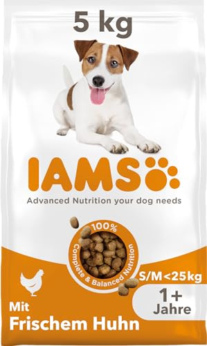IAMS Alimento seco para Perros de Razas pequeñas y Medianas con Pollo Fresco, Comida Seca para Perros Adultos de más de 1 año, 5 kg