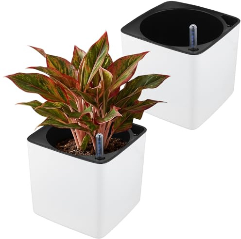 HONYUET 2 Stück Selbstbewässerungstopf mit Wasserstandsanzeige, Kräutertopf 18 cm quadratisch weiß PP-Kunststoff, Pflanztopf für Kräuter und Zimmerpflanzen
