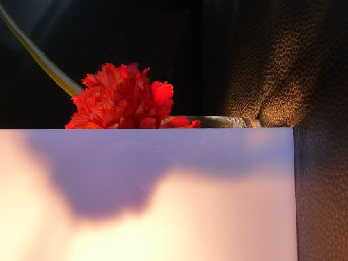 Polycarbonat Platte 1000 x 600 x 4 mm Milchglas 30% Lichtdurchlässigkeit Zuschnitt alt-intech®