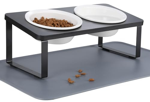 Elevated Whisker Friendly Cat Bowls, 15 Tilted Stand Anti Vomiting Raised Dishes for Food and Water,2 Ceramic Bowls for Cats and Puppy,Black