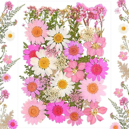 Vraies Fleurs Pressées Séchées, 40PCS Décoration de Gâteau Toppers de Cupcake pour Fêtes/Baby Shower/Anniversaire/Mariage, Fleur Sechees Naturel pour Bricolage Résine Bijoux Faisant Floraux Nail Art