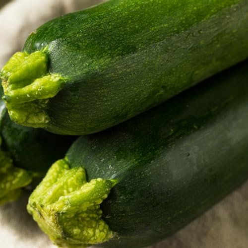 PREMIER SEEDS DIRECT - Vegetable - COURGETTE Defender F1-10 Seeds