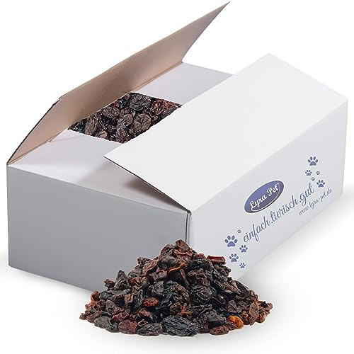 Lyra Pet® 20 kg Rosinen Futterrosinen Wildvögel vitaminreich Vogelfutter