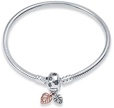 HappyStar 925 Sterling Silver Damarmband Bead Charm för kvinnor, Snake Mesh Stängning Armband, Kompatibla Charms, Gåvor till kvinnor., 6,7in/17cm(per polso di dimensioni5,5pollici), Silver, Ädelsten