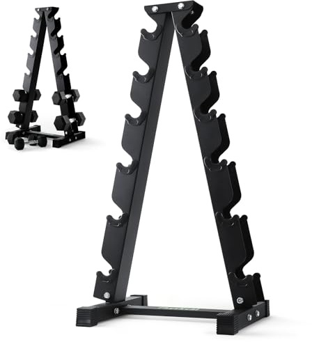 PhysKcal 6-Tier Dumbbells Rack, Heavy Duty Gauge Steel, 400 kg Load Bearing
