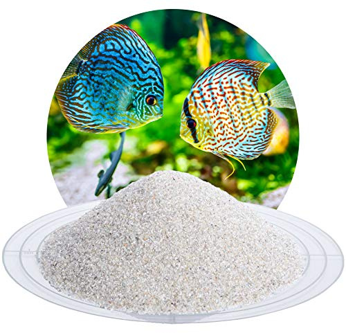 Schicker Mineral Aquariumsand Natur 0,4-0,8 mm 25 kg, feiner Aquariumkies | Gewaschen, ungefärbt, kantengerundeter Bodengrund, Kies für Süßwasseraquarien, Meerwasseraquarien, Aquascaping, Aquarium