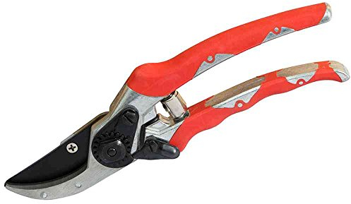 Siena Garden 313253 Gartenschere Schneideflink 21 cm