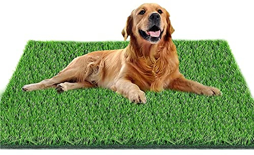 Fortune-star Artificial Grass for Dogs, 51.2in X 31.5in Dog Potty Grass Suitable for Indoor/Outdoor and Dog Potty Training(Easy to Clean and Use
