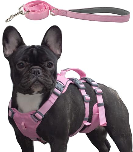 Wuffley Hundegeschirr mit Leine, Sicherheitsgeschirr Hund Ausbruchsicher, Anti Zug Hundegeschirr mit Assistenzgriff und Reflektierende, Leichtes Verstellbare Geschirr für Mittelgroße Hunde (Rosa,XS)