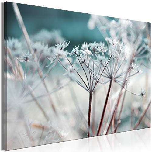 murando - Quadro Acustico Natura Gelata Fiori Botanico 60x40 cm 1 Pezzo - Stampa su Tela Schiuma Acustica - Quadri Fonoassorbenti Decorativi Moderni - Protezione dai Rumori Cameretta b-B-0514-b-a