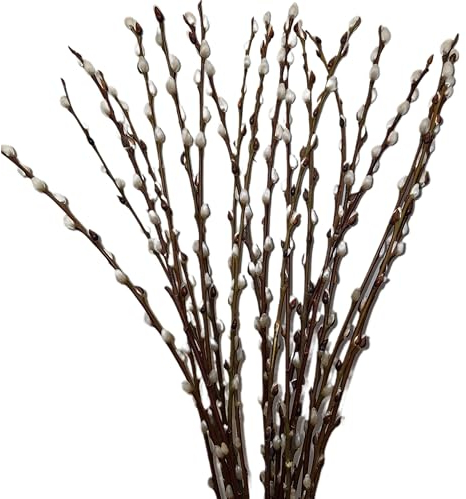 frischer natürlicher WEIDENKÄTZCHEN Bund 70cm. Hochzeitsdeko Osterdeko Frühlingsstrauß (1)