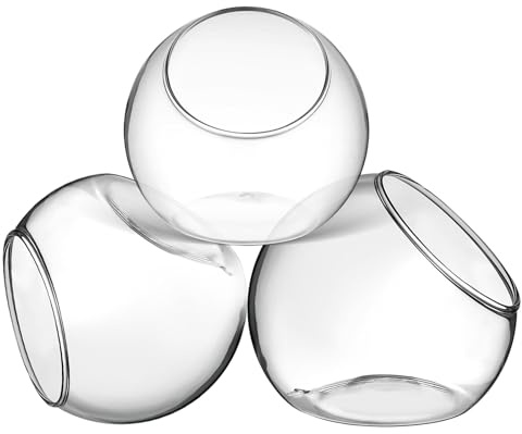 Toyvian 3 Piezas Tazones de Terrario de para Suculentas Macetas Decorativas Transparentes para Oficina y Incluye