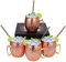 Wylnsie Lot de 4 gobelets Moscow Mule en cuivre martelé pour boissons à cocktail réfrigérées - En cuivre fait à la main - Avec 4 pailles - Cadeau pour la maison, le bar, la fête