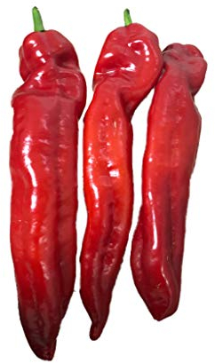 Spitzpaprika (Ungarischer Rießen-Spitzpaprika) 10 Samen >>>GIGANTISCH-GROßE-FRÜCHTE<<<