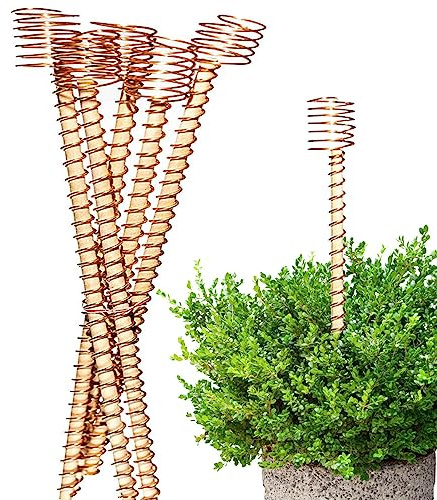 6/12 tiges Plantation en Bois pour Jardin, antenne Culture électrique pour Plantes Jardin, antenne en cuivre pour la Culture Plantes Jardin, Fleurs, légumes, lys, pivoines, Roses