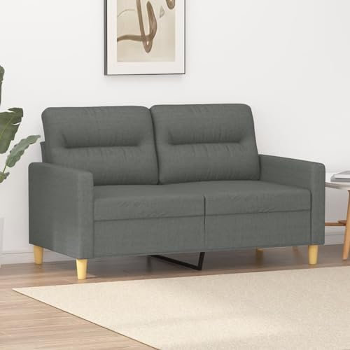 Sufrk 2-Sitzer-Sofa Dunkelgrau 120 cm Stoff Kleine Sofa, Mid-Century Moderne Couch, 2er Couch Loungesofa