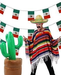 SUPER MEXIKO 5 TEILIGES SET ==BEINHALTET EINEN SOMBRERO IHRER Wahl ERHALTBAR IN 4 VERSCHIEDENEB FARBEN== EINEM MEHRFARBIGEN PONCHO = = EINEN AUFBLASBAREN KAKTUS 96cm GROß DER BODEN KANN MIT SAND ODER WASSER GEFÜLLT WERDEN==EINER 10meter LANGEN MEXIKANISCHEN FLAGGEN GIRLANDE==EINEN AUFKLEBBAREM SCHWARZEN MEXIKANER SCHNURRBART= VON ILOVEFANCYDRESS®==MIT GRÜNEN STICKEREIEN