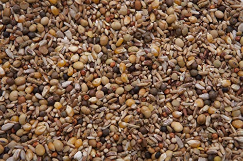 Squab Builder Pigeon Mix (18%) 20 lbs