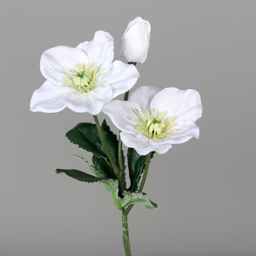 Christrose 34cm weiß DP Kunstblumen Seidenblumen künstliche Blumen Christrosenzweig Helleborus