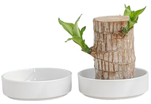 Sghtil - Paleta de madera brasileña, jardinera de madera brasileña, pequeña maceta para madera brasileña, 2 x paleta de madera brasileña, bandeja de cerámica brasileña, bandeja de maceta