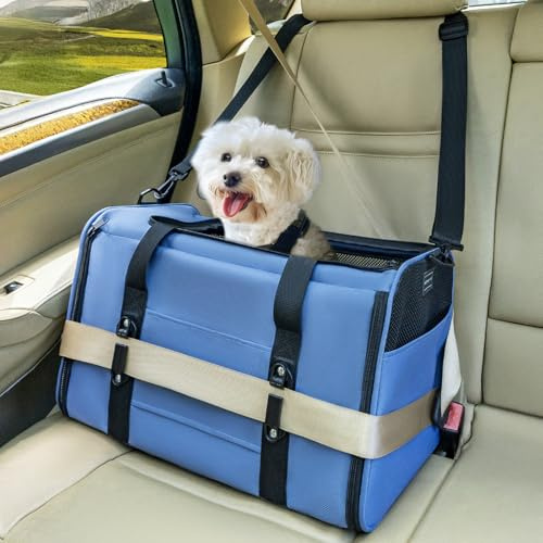 Petsfit Transportbox für Katzen – Faltbare Transporttasche mit Schultergurt, 4-seitigem Netz & weichem Innenkissen – ideal fürs Auto, Reisen & Tierarztbesuche – auch für kleine Hunde
