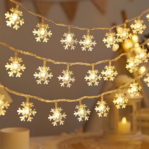 Homirty USB Lichterkette Weihnachten 6m 40 LED - Sterne Lichterketten,Wetterfest Schneeflocken Lichterkette Außen, Weihnachtsbeleuchtung für Garten, Party, Zimmer, Balkon - Warmweiß (B)