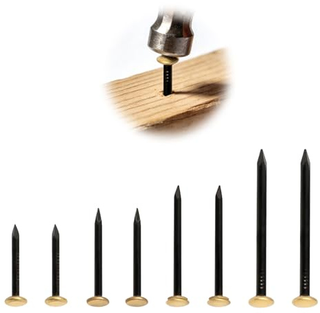 Juego de 120 clavos de acero (20/25/30/40 mm) – Clavos endurecidos para hormigón, ladrillo y madera – Sin taladrar, clavos de pared inoxidables con caja de almacenamiento