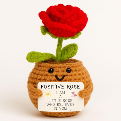 Positive Red Rose | Original Gift | Romantic Idea for Her & Couple | Mothers Day Birthday Gift Mum Girlfriend Wife Friend Colleague | Cute Surprise | Eternal Preserved Flower | I Love You | Home Decor