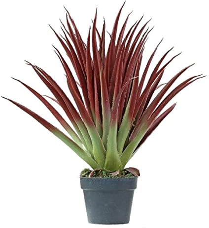 GOOPEEG Kunstpflanze Groß Künstliche Baumpflanzen Bonsai-Kugel-Orchideen-Topfpflanzen Topf-Ornamente Gefälschte Bäume Für Die Heimdekoration Künstliche Pflanzen Pflanzen Künstlicher