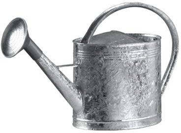 Guillouard Regadera de acero 13L