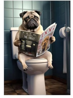 VIDSTW Deco Toilette, 20 X 30 cm Toile Decoration Murale, Animaux Drôles Decoration Assis sur les Toilettes Lisant un Journal, Decoration WC, pour Salle Bain, Chambre à Coucher (Type B)