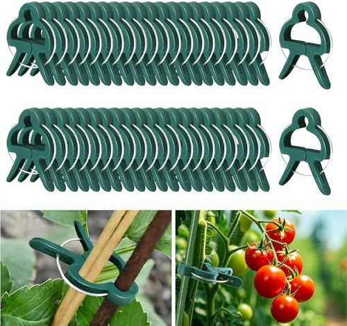 Lysjoy Pflanzenclips für Kletterpflanzen, 50 Stück Pflanzenklammern, Pflanzen Clips, Tomaten Clips Wiederverwendbar für Tomaten Gemüse Früchte (50 Kleine)
