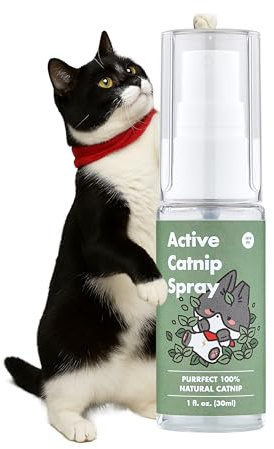 JAYU PET Active Catnip Spray - High Potency Transparent Liquid Spray made of Fresh Catnip for Indoor Cats and Kittens, Relieves Stress, Calming, Revives Toys (1fl oz)