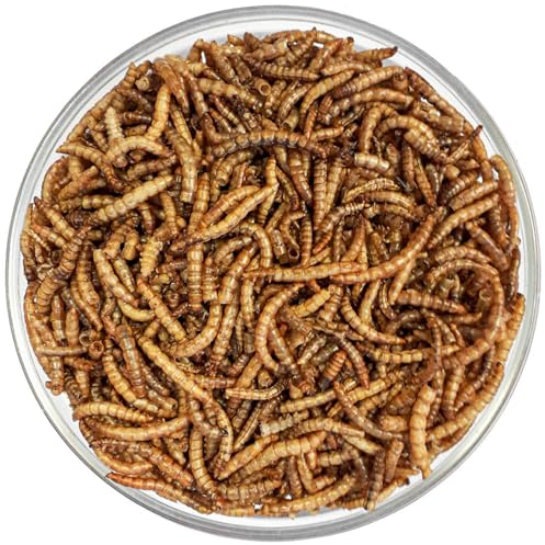 Agrarzone Mögelmaskar torkade 5 kg – 32 liter premium insekter mellanmål för fåglar, fisk, gnagare, igelkott och reptiler – proteinrik vildfågelmat – fågelmat vildfåglar året runt