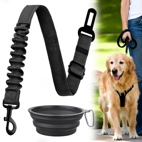 Ensemble de 2 pièces Ceinture Chien, Laisse élastique Chien avec Absorption des Chocs, Gamelles de Voyage pour Chat, Bol de Voyage Léger Protable, Peut Ajustée , Noir